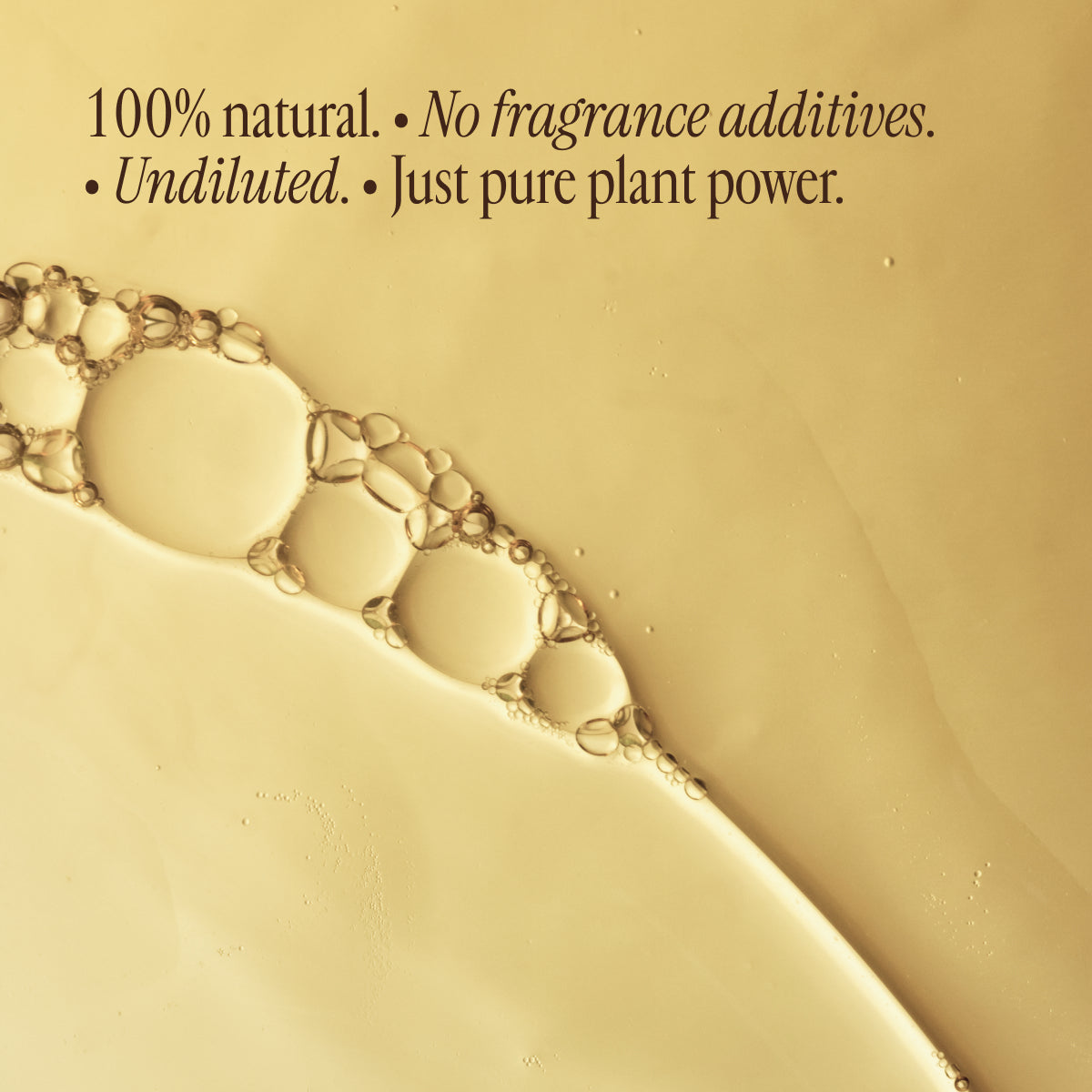 Lavender Oil